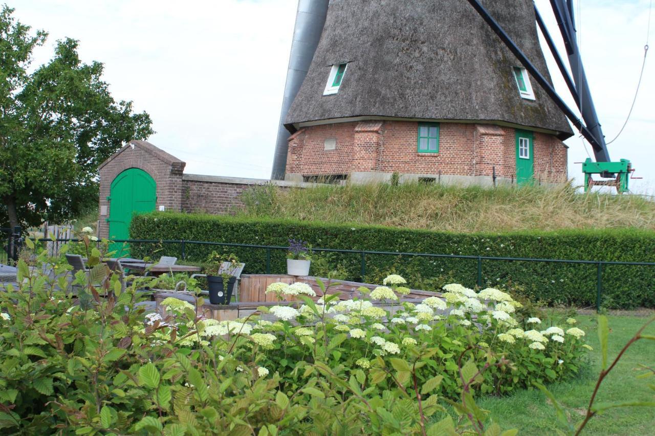 Bij Molen De Blazekop, Rustig En Landelijk Ovezande Екстериор снимка