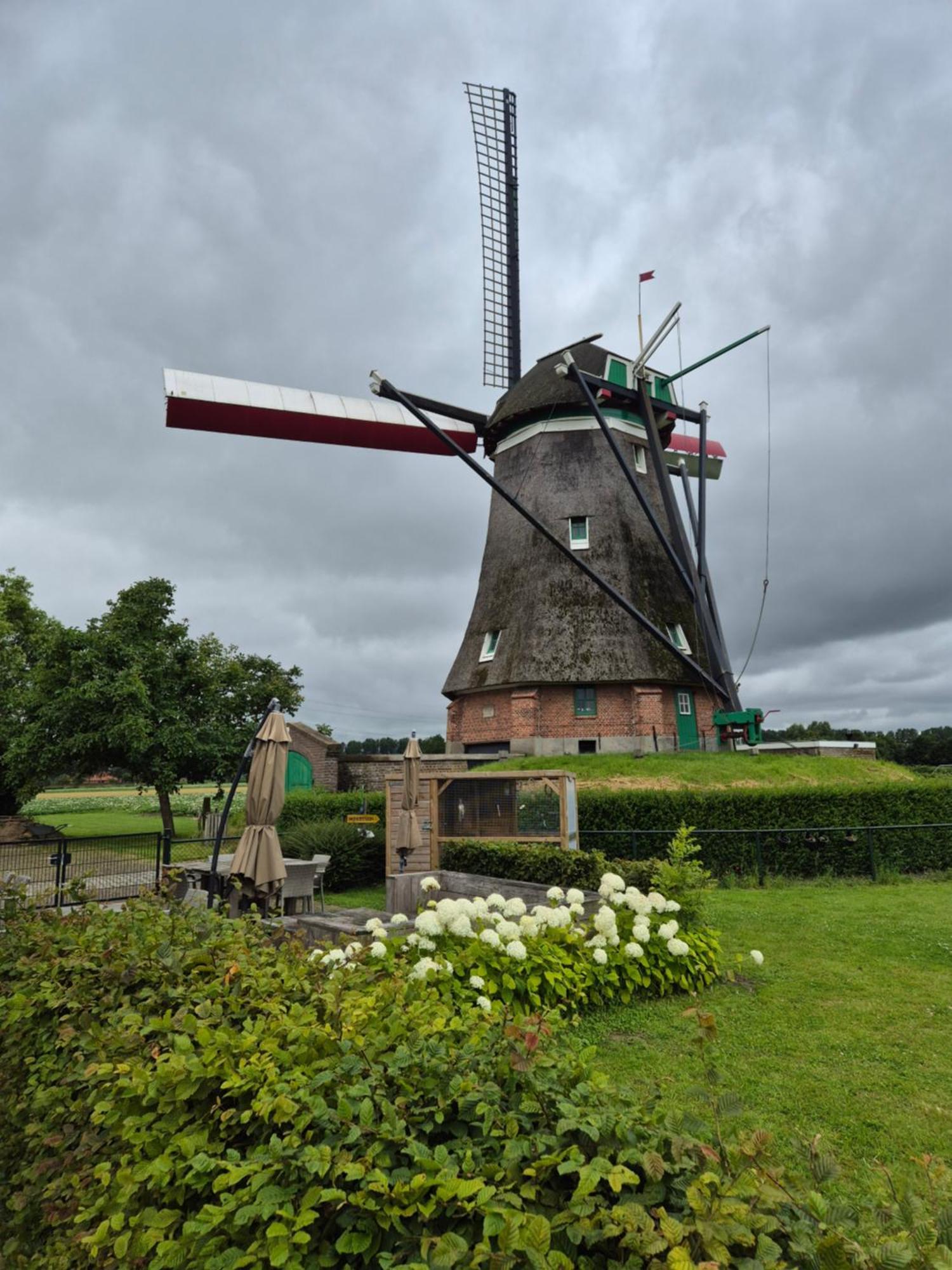 Bij Molen De Blazekop, Rustig En Landelijk Ovezande Екстериор снимка
